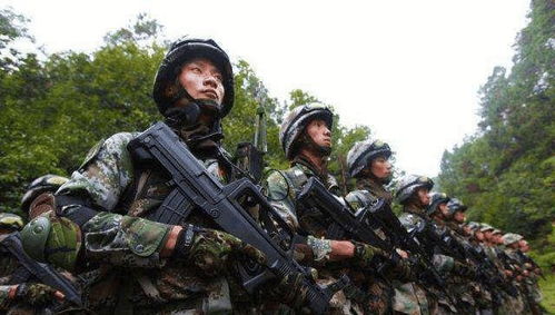步兵连有多少汽车
